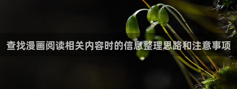 七七漫画人气漫画排行：查找漫画阅读相关内容时的信息整理思路和注意事项
